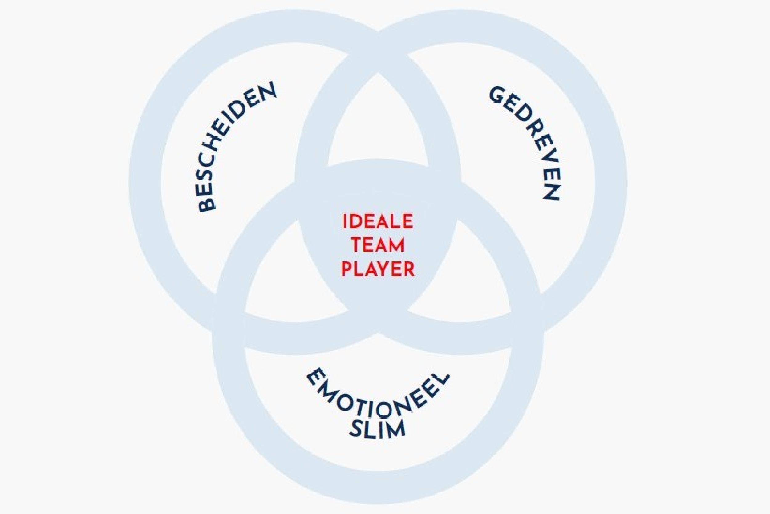 De Ideale Teamplayer